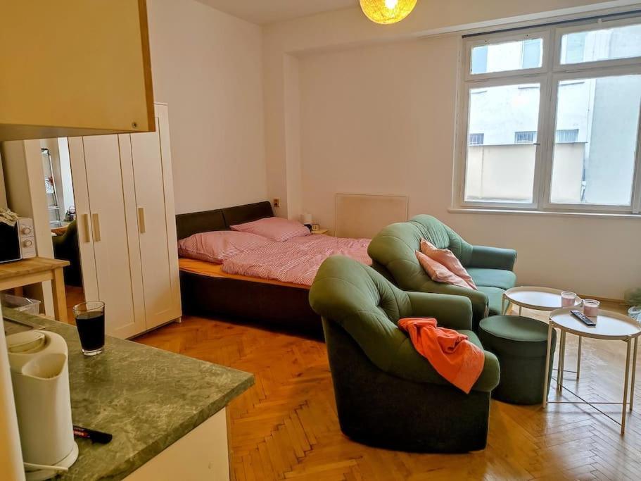 Cosy Warm Apartment In The Heart Of Prague. المظهر الخارجي الصورة